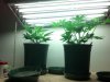 2013-05-03_21-53-31_281.jpg