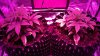 04052013131.jpg