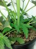 2013-05-04_18-51-09_861.jpg