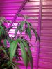 20191121_173418.jpg