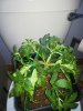 IMG_20191122_095819.jpg