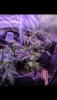 Screenshot_20191124-093631.png