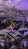 Screenshot_20191124-093609.png