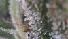 7FF515CC-C7D0-4AA5-BC02-4BD42230086B.jpeg