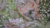 80FDAF07-EB9D-4BF4-8AD0-D3F594E5807F.jpeg