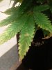 20191208_174116.jpg