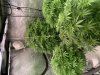 2792EE65-2CE7-4A00-81A0-8C802842B182.jpeg