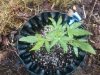 130506_0002.jpg