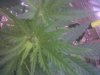 IMG-20130506-00267.jpg