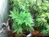 IMG_20130507_230750.jpg