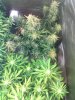 IMG_20130507_230939.jpg