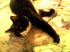 drclawMG_20130507_235804.jpg