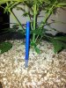 20130508_110645.jpg