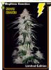 Screenshot_2019-12-21 Sour Hound Auto Feminised Seeds.png