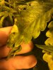 CDBB4873-FDCD-494D-AB6A-7196DFF98DDD.jpeg