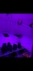 62F724A3-BE9A-40D6-8D1B-9030669308FE.jpeg