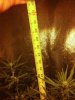 2013-05-09_22-20-41_829.jpg