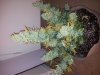 20130510_125636.jpg 20130510_125636.jpg