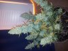 20130510_130314.jpg 20130510_130314.jpg