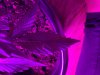 C75C48A8-7A82-40CE-8DB9-20D8AD5F736F.jpeg