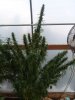 20180908_130521.jpg