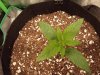 20200128_064610.jpg