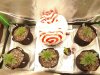 20200131_063945.jpg