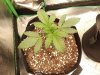 20200131_064006.jpg