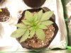 20200131_064013.jpg