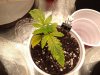20200131_064048.jpg