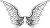 angal wings.jpg