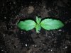 20130509_085548.jpg