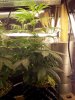 2013-05-13_16-15-24_23.jpg