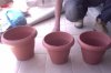 Pots to be used - approx 1gl .jpg