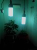 IMG_20130513_214734.jpg