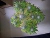 20130515_132419.jpg
