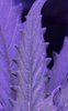10995434-B8C9-4265-ADDD-77DA4C984C7E.jpeg