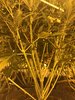 3D8C6B82-CEEC-431F-A788-890E27273763.jpeg