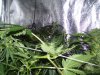 100_1297.jpg