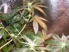100_1299.jpg
