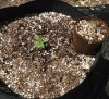 5.16 wh dragons 7 gal & jiffy pot.jpg