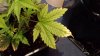 20130517_101414.jpg