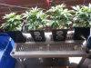 20130517_141551.jpg