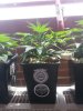 20130517_141613.jpg