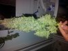 20130518_174920.jpg