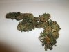 day 68 (seed #2) bud samples quick dried pic 3.jpg