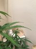 1763F997-3291-4442-AAC2-B565273B9AB0.jpeg
