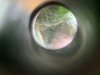 IMG_0857.jpeg