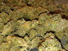 20200408_151953.jpg