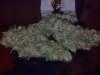 IMG_20130519_214920_333.jpg
